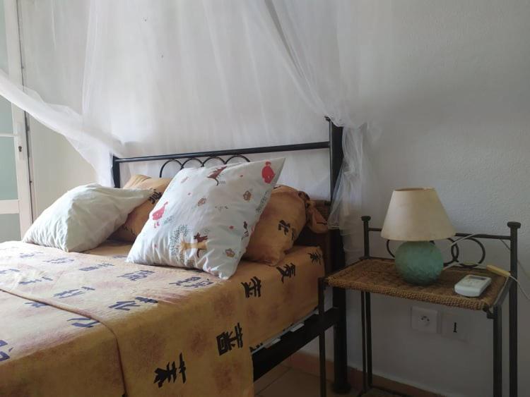 Charmant Appartement En Bord De Mer Avec Piscine Gourbeyre Exteriér fotografie